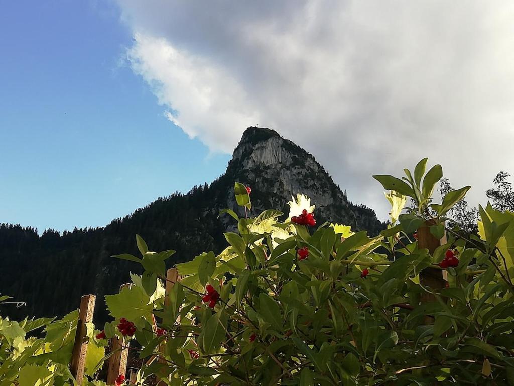 'Sissi' Ein Zaubehaftes Apartement Im Modernen Landhausstil Oberammergau Exterior foto